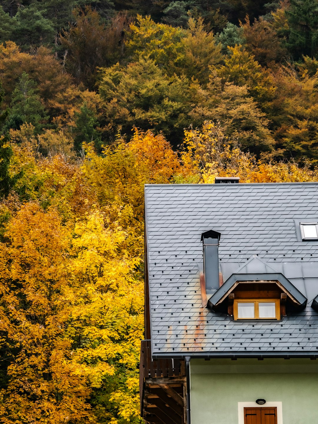 services-04 a-house-with-a-dormer-window-against-autumn-trees-hl4yvwxfaxe