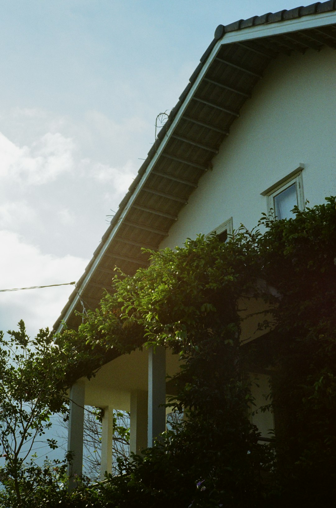 our-services-02 a-white-house-with-green-vines-growing-on-it-urlkotynjj8