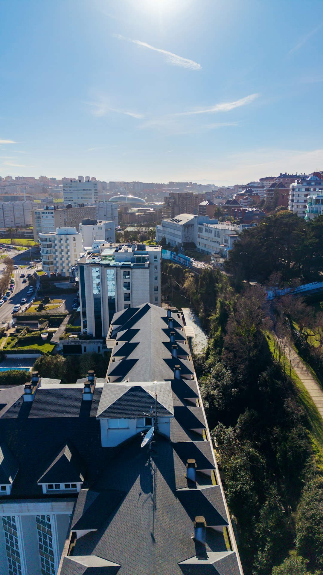 services-01 aerial-view-of-a-city-skyline-with-buildings-and-trees-dhrnhtct0vs